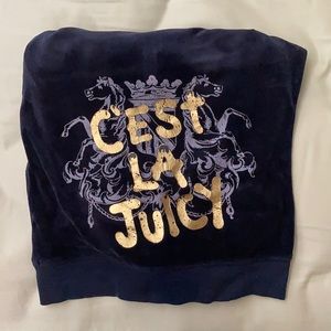 Juicy Navy Velour Jacket